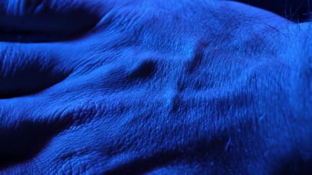 Szczegółowy Rysunek Skóry Dłoni Ludzka Skóra Medycyny Zbliżeniowej Zdrowa Naga — Wideo stockowe