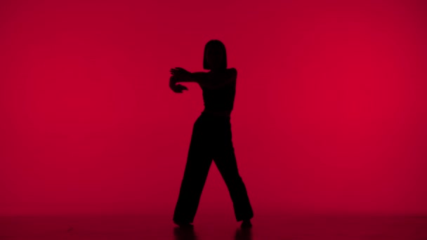 실루엣의 빨간색 배경에 프레임에 날씬하고 아름다운 스타일의 움직임을 보여줍니다 그것은 — 비디오