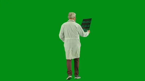 창조적인 크로마 화면에 스튜디오에서 의사의 초상화 엑스레이 사진을 유니폼 뒤보기 — 스톡 사진