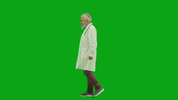 컨설팅 크로마 화면에 의사의 초상화 클리닉이나 병원을 걸어다니며 주변을 둘러보는 — 비디오