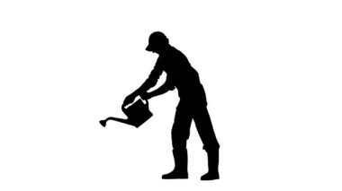 Bahçıvanlık ve tarım reklamları konsepti. Çiftçi portresi. Erkek bahçıvanın silueti çiçekleri büyük bir su bidonuyla suluyor. Beyaz arkaplan alfa kanalında izole edildi.