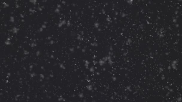 Kış Yumuşacık Kar Yıldızlı Gökyüzü Siyah Bir Arkaplanda Kaplama Efekti — Stok video
