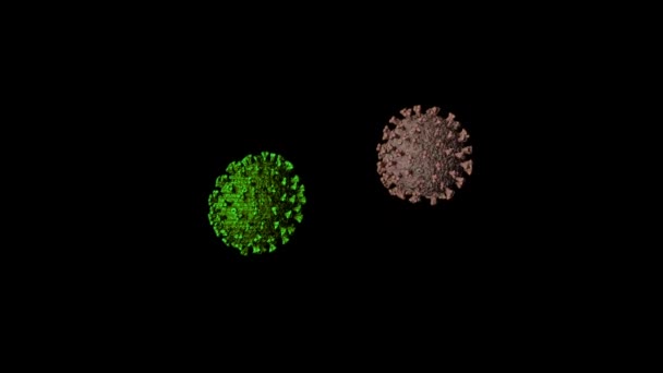 黑色背景上的病毒细胞及其全息图 医学微生物学概念 — 图库视频影像