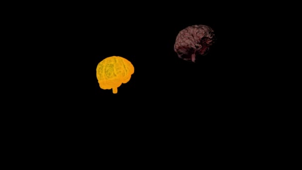 Otak Manusia Dan Proyeksi Berdenyut Nya Pada Latar Belakang Hitam — Stok Video
