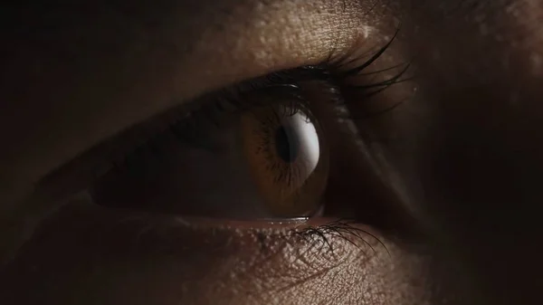 Human eye iris opening pupil extreme close up.