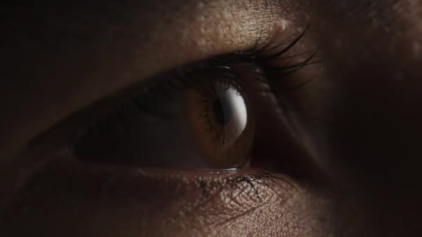 Ojo Humano Iris Apertura Pupila Extrema Cerca — Vídeo de stock