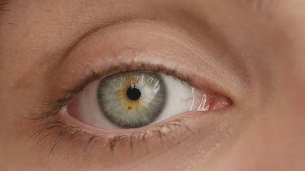 The penetrating gaze of the human eye. Macro shot. Concept of vision, diagnostics, treatment of diseases