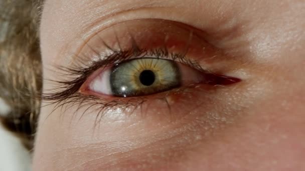 Olhar Penetrante Olho Humano Macro Shot Conceito Visão Diagnóstico Tratamento — Vídeo de Stock