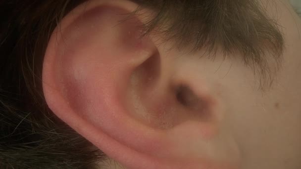 Prawe Ucho Mężczyzny Część Ciała Odpowiedzialna Słuch Percepcję Dźwięków Problem — Wideo stockowe