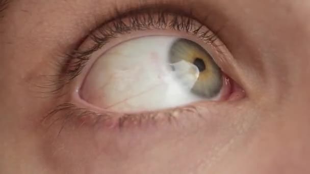 Male Eye Performing Circular Movements Eye Gymnastics Concept Healthy Vision — Stock Video