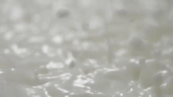 Γάλα Splash Γάλα Splash Γάλα Drop Αργή Κίνηση — Αρχείο Βίντεο