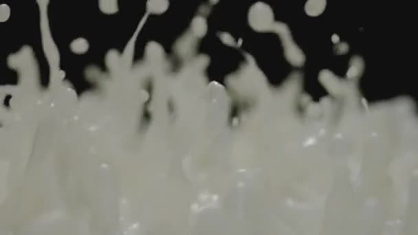 ミルクスプラッシュ ミルクスプラッシュミルクドロップスローモーション 黒い背景に — ストック動画