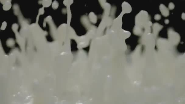 牛奶溅 牛奶溅 牛奶滴慢动作 在黑色背景上 — 图库视频影像