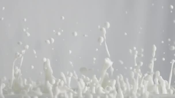 牛奶溅 牛奶溅 牛奶滴慢动作 — 图库视频影像