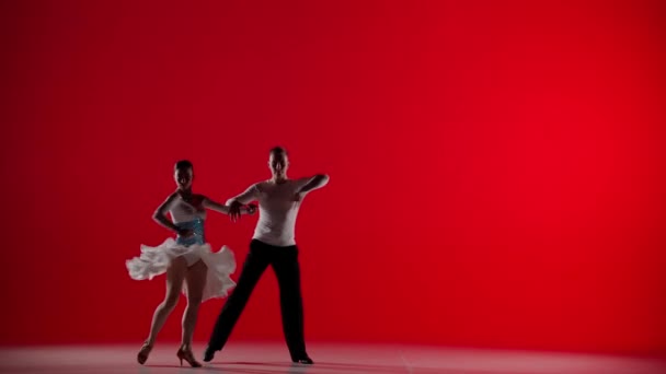 우아한 커플은 그들의 움직임과 댄서의 흐름을 악화시키는 빨간색 배경에 노출을 — 비디오