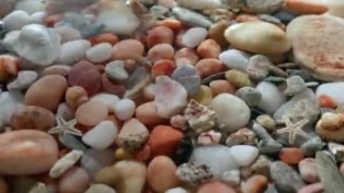 Deniz ve okyanus yaşamı yaratıcı reklam konsepti. Deniz yatağının arka planının yakın plan görüntüsü. Güzel renkli taşlar su altında deniz kabukları dalgalanan dalgalar, güneş ışığı yüzeyde parlıyor.