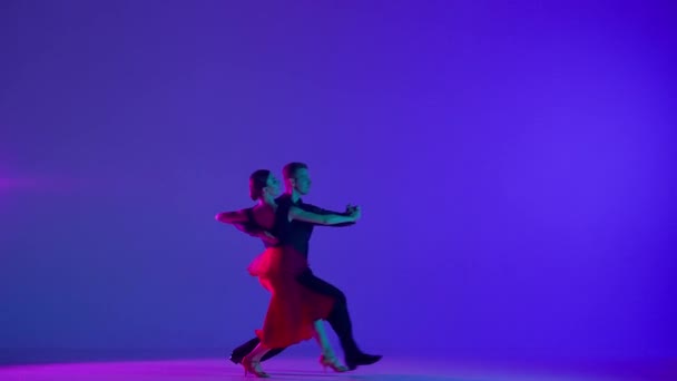 スポットライトのエレガントなボールルームダンスカップル この印象的なビデオは 暗闇に対する特異なスポットライトに包まれた2人のミッドパフォーマンスを踊るボールルームをキャプチャし その形を強調します — ストック動画