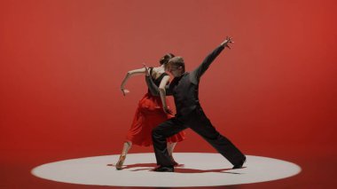 Spotlight 'taki zarif balo dansçısı çift. Bu çarpıcı görüntü, gösterinin ortasında, karanlığa karşı tek bir spot ışığıyla çevrili, dans eden bir çiftin görüntüsünü yakalıyor.