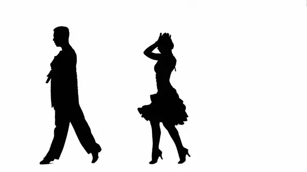 This striking image captures the silhouette of a ballroom dancing couple in a dynamic pose, showcasing the elegance and passion of dance. The man and woman are depicted in mid-dance step, their bodies