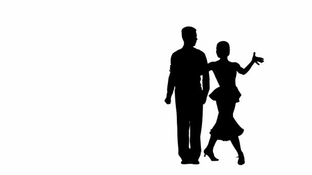 この印象的なビデオは ダンスのエレガンスと情熱を示すダイナミックなポーズでダンスカップルのシルエットをキャプチャします 男性と女性は ダンスの段階 彼らの体に描かれています — ストック動画