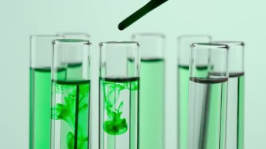 Beyaz arka plandaki laboratuvar camlarını kapatın. Platformda sıvı dönen test tüpleri. Test tüplerine şeffaf sıvı damlayan yeşil madde damlaları. Bilim yaratıcı konsept.