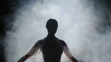 Klasik ve modern bale yaratıcı reklam konsepti. Stüdyoda projektörün altında siyah arka planda duran kadın portresi. Beyaz tüller içinde dans eden balerin, dumanlar içinde dans ediyor..