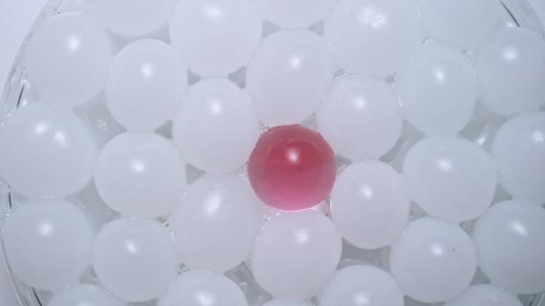 液体和凝胶创意广告的概念 近距离拍摄白色背景上的流体物质 彩色菜中心旋转的白色粉球中的化妆品 凝胶或血清 — 图库视频影像