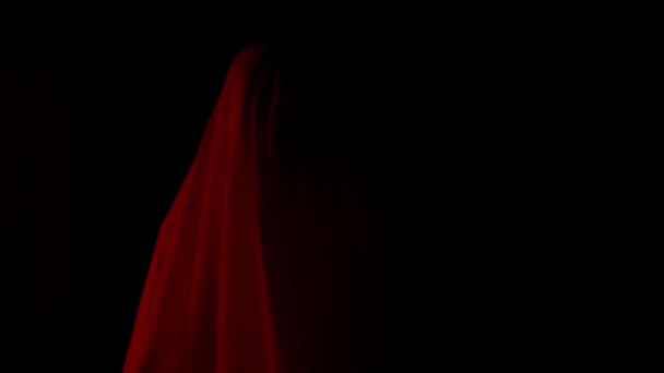 Skräckfilm Och Poltergeist Kreativ Reklam Koncept Kvinnliga Spöke Ett Hus — Stockvideo