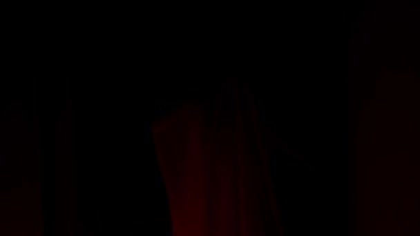 ホラー映画とポルターギストクリエイティブ広告コンセプト 家の中の幽霊の女性の肖像 赤く点滅する稲妻で回廊で顔を覆うベールを覆う白いドレスの女性 — ストック動画