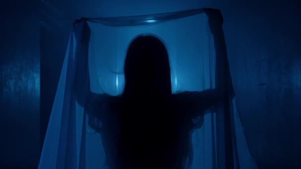 Filme Terror Conceito Publicidade Criativa Poltergeist Retrato Fantasma Feminino Numa — Vídeo de Stock