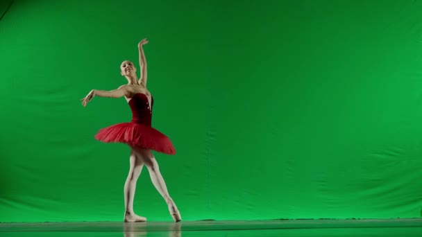 Klassisk Och Modern Balett Kreativ Annons Koncept Porträtt Kvinna Kroma — Stockvideo