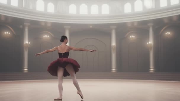 Klassisk Och Modern Balett Kreativ Annons Koncept Porträtt Kvinna Teaterscenen — Stockvideo