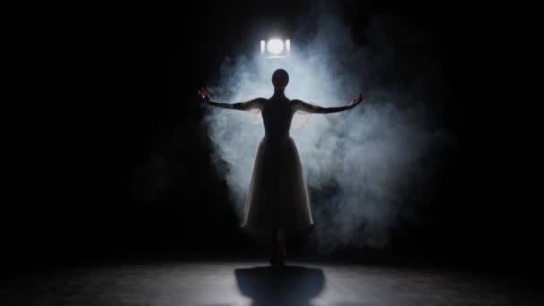 Klasický Moderní Baletní Kreativní Reklamní Koncept Portrét Ženy Černém Pozadí — Stock video