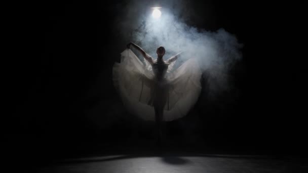 古典和现代芭蕾舞创意广告的概念 摄影棚聚光灯下黑色背景下的女性画像 白色郁金香中的芭蕾舞演员在烟雾中表现出柔韧的舞姿 — 图库视频影像