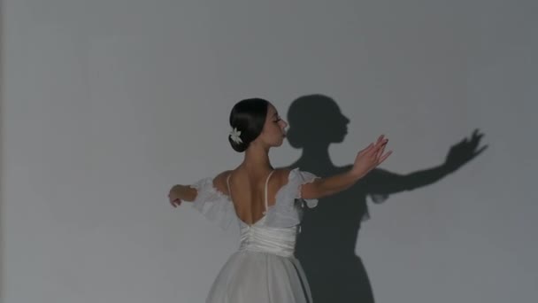 Concepto Clásico Moderno Publicidad Creativa Ballet Retrato Mujer Sobre Fondo — Vídeo de stock