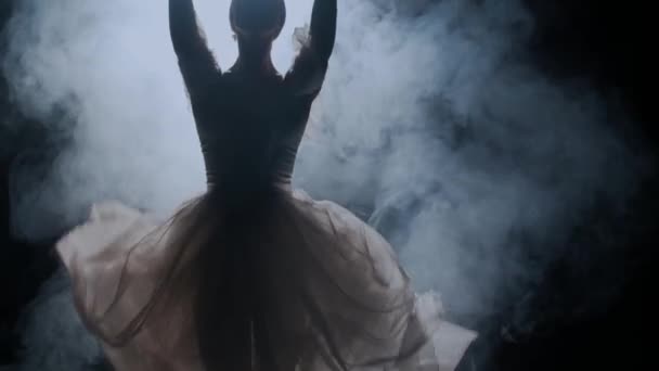 Klassisk Och Modern Balett Kreativ Annons Koncept Porträtt Kvinna Svart — Stockvideo