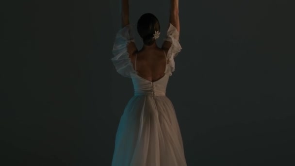 Klasický Moderní Baletní Kreativní Reklamní Koncept Portrét Ženy Tmavém Pozadí — Stock video