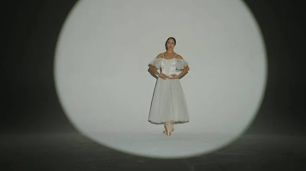 Концепция Классической Современной Балетной Творческой Рекламы Портрет Женщины Белом Фоне — стоковое фото