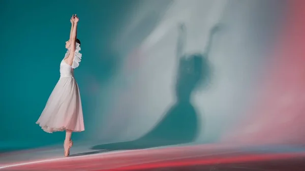 Klassieke Moderne Ballet Creatieve Reclame Concept Portret Van Een Vrouw — Stockfoto
