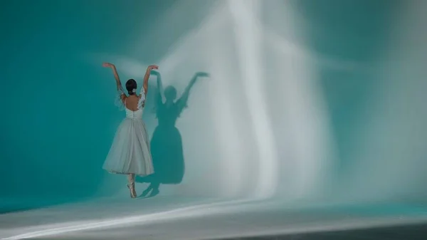 Klassisk Moderne Ballett Kreativ Reklame Konsept Portrett Kvinne Grønn Bakgrunn – stockfoto
