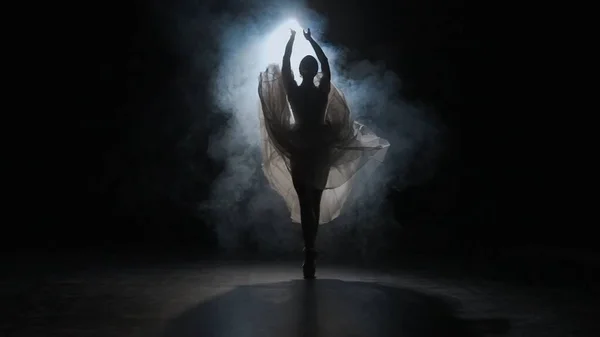 Classical and modern ballet creative advertisement concept. Portrait of female on black background under spotlight projector in studio. Ballerina in white tulle dancing slow choreography in smoke.