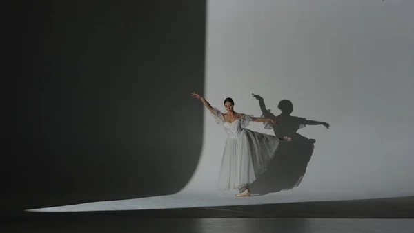 Classical Modern Ballet Creative Advertisement Concept Female White Background Studio — Stock Photo, Image