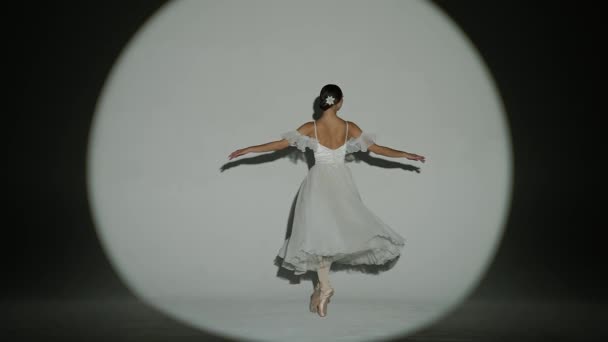 Klassisk Och Modern Balett Kreativ Annons Koncept Porträtt Kvinna Mörk — Stockvideo