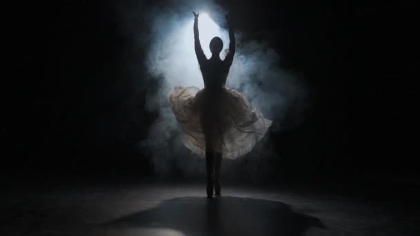 Ballet Classique Moderne Concept Publicité Créative Portrait Femme Sur Fond — Video