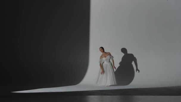 Klasyczna Nowoczesna Koncepcja Kreatywnej Reklamy Baletowej Portret Kobiety Białym Tle — Wideo stockowe