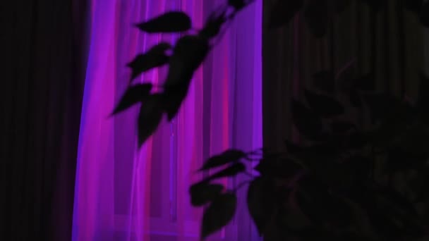 Lampeggianti Luci Rosse Blu Della Polizia Illuminano Stanza Oscura Attraverso — Video Stock