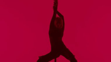 Modern dans tarzı ve koreografi yaratıcı konsepti. Stüdyodaki genç bayan dansçının portresi. Profesyonel striptizci kız direğin üzerinde dans ediyor, modern direk dansı gösteriyor, kırmızı neon arka plan.