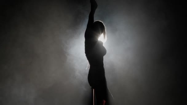 Сучасний Танцювальний Стиль Хореографія Творча Концепція Портрет Молодої Жінки Танцюриста — стокове відео