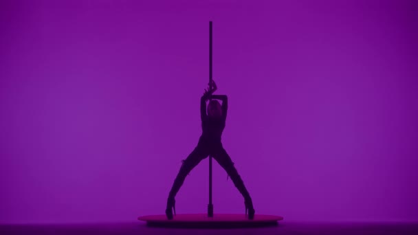 現代ダンススタイルと振付クリエイティブコンセプト スタジオの若い女性ダンサーの肖像画 プロのポールダンサーガールがピロンを踊り 現代のポールダンス 紫のネオンバックグラウンドを披露 — ストック動画