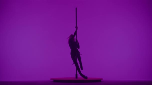 现代舞蹈风格和舞蹈创作的创新理念 演播室里年轻女舞蹈演员的画像 专业的钢管舞女舞女 身姿现代钢管舞 背景为紫色霓虹灯 — 图库视频影像